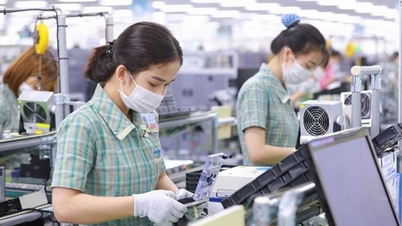 Phú Thọ gây bất ngờ, Bắc Ninh vượt TPHCM vươn lên đứng đầu cả nước về xuất khẩu