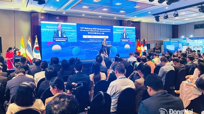 Đồng Nai tham gia Diễn đàn doanh nghiệp Mê Kông - Hàn Quốc