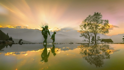 48 giờ săn mây, ngắm lúa, ăn gà ở Y Tý