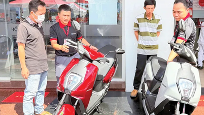 Đa dạng sản phẩm, nhiều ưu đãi