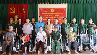 Bac Ninh: បរិច្ចាគរទេះរុញដល់ជនរងគ្រោះដោយជាតិគីមីពុលពណ៌ទឹកក្រូច/ឌីអុកស៊ីត