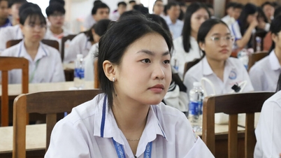 An Giang organizează cursuri de formare pentru studenții excelenți pentru a participa la examenele naționale