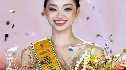 Học vấn nổi trội của Miss Grand Vietnam 2025 Nguyễn Thị Yến Nhi