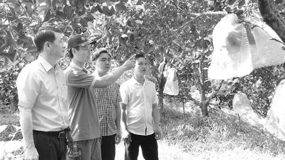 រួមដៃគ្នាកសាងយុគសម័យថ្មីនៅខេត្តអានយ៉ាង - ផ្នែកទី ២៖ សាមគ្គីភាព កម្លាំងបំបែកបំបាក់