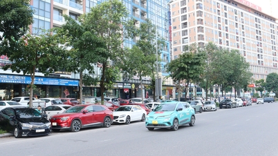Überwindung des Parkplatzmangels: Bedarf an einer synchronen Lösung