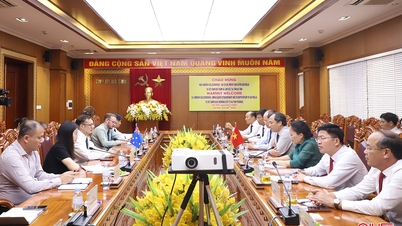 Create conditions for Ha Tinh and Australian localities to cooperate in investment in various fields.