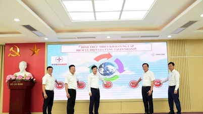 Hanoi Electricity starts implementing value-added electricity services