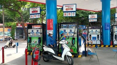 Proaktivně dodávat na trh benzín E10