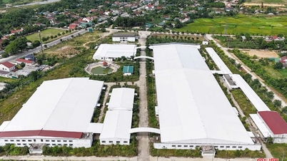 Finding solutions to overcome difficulties for Cau Treo International Border Gate Economic Zone