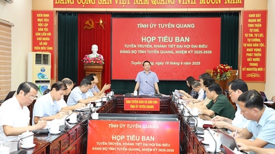 Họp Tiểu ban Tuyên truyền, khánh tiết Đại hội đại biểu Đảng bộ tỉnh
