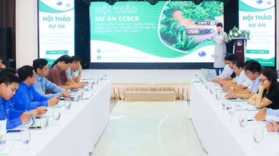 Strengthening communication capacity to respond to climate change in the Mekong Delta