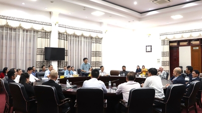 ប្រធានគណៈកម្មាធិការប្រជាជនខេត្ត លោក Le Van Luong បានធ្វើការជាមួយគណៈប្រតិភូការងារនៃមន្ទីរ និងស្ថាប័នក្រោមឱវាទនៃក្រសួងឧស្សាហកម្ម និងពាណិជ្ជកម្ម និងក្រុមចែកចាយ និងលក់រាយ។