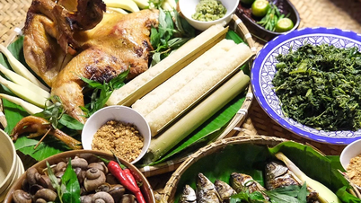 ម្ហូបឆ្ងាញ់ៗពីព្រៃនៅតុង