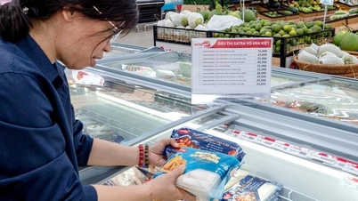 COFIDEC: Průkopnická zelená transformace se strategií založenou na dvou pilířích