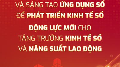 Phổ cập, truyền thông bộ nhận diện Ngày Chuyển đổi số quốc gia năm 2024