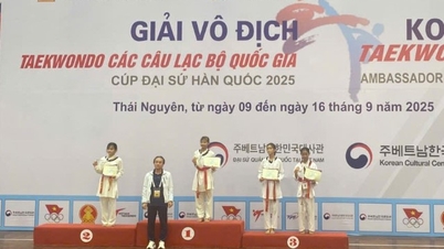 Национальный клубный чемпионат по тхэквондо — Кубок посла Кореи 2025