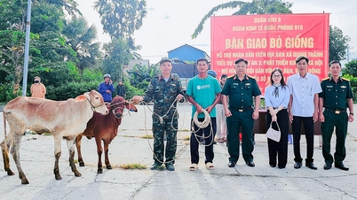 ក្រុម​សេដ្ឋកិច្ច​ការពារ​ជាតិ ៩១៥ ផ្តល់​គោ​ចិញ្ចឹម​ដល់​ប្រជាពលរដ្ឋ​តាម​តំបន់​ព្រំដែន