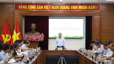 កំណត់យុទ្ធសាស្ត្រ បង្កើតរបកគំហើញក្នុងការអភិវឌ្ឍន៍វប្បធម៌