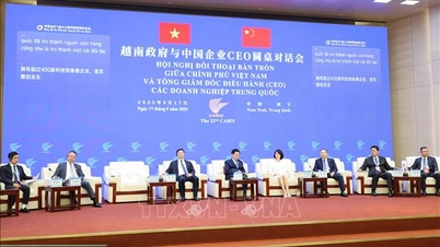 Phó Thủ tướng Mai Văn Chính dự Hội nghị CAEXPO lần thứ 22 tại Trung Quốc