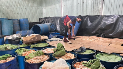 Bahan mentah berbau busuk ditemui di kemudahan pengeluaran sosej di wad Quy Nhon.