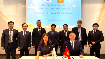 Quang Tri podepsal memorandum o porozumění s Vietnamsko-korejskou obchodní a investiční asociací