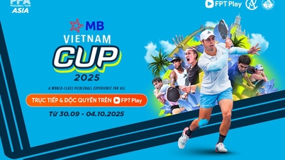 Gwiazda pickleballa Ben Johns zagra na Pucharze Wietnamu 2025