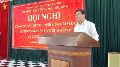 Công bố các Quyết định của Giám đốc Sở Nông nghiệp và Môi trường về bổ nhiệm chức vụ lãnh đạo quản lý cấp phòng