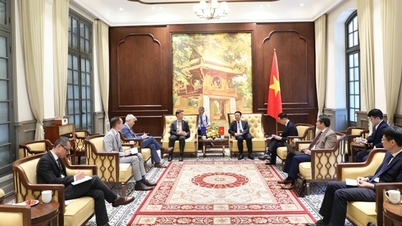 វៀតណាម - EU ជំរុញកិច្ចសហប្រតិបត្តិការលើវិស័យវិទ្យាសាស្ត្រ បច្ចេកវិទ្យា នវានុវត្តន៍ និងការផ្លាស់ប្តូរឌីជីថល