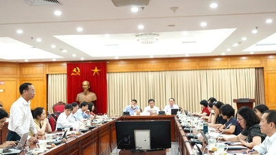 Población en Vietnam: Desafíos urgentes y directrices políticas