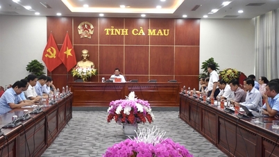 Cà Mau chuẩn bị triển khai Hệ thống thông tin báo cáo tỉnh giai đoạn 2
