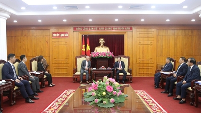 Lang Son Provincial Party Secretary received and worked with Pacific Construction Group, China