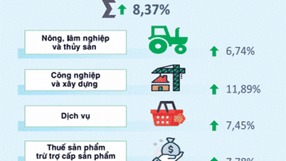Lang Son - លទ្ធផលលេចធ្លោក្នុងការអភិវឌ្ឍន៍សេដ្ឋកិច្ចសង្គមក្នុងរយៈពេល៦ខែដើមឆ្នាំ២០២៥