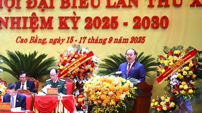 Comrade Quan Minh Cuong was re-elected as Secretary of the Cao Bang Provincial Party Committee for the 20th term, 2025-2030 term.