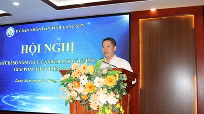រៀបចំសន្និសីទវាយតំលៃសន្ទស្សន៍ PCI របស់ខេត្ត Lang Son ឆ្នាំ 2024 ដោយជោគជ័យ ដំណោះស្រាយអនុវត្តឆ្នាំ 2025