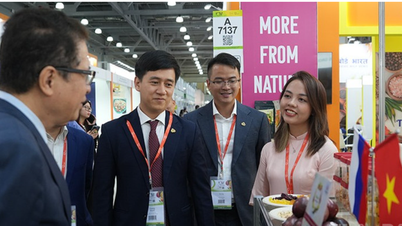 Vietnami termékek sokszínűsége a WorldFood Moscow 2025 Nemzetközi Élelmiszerkiállításon
