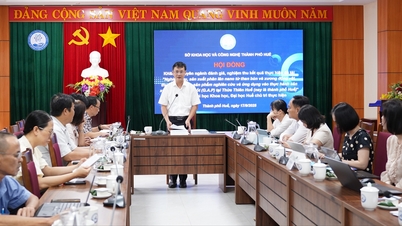 Sản xuất phân lân nano từ than bùn, xương động vật và ứng dụng sản xuất nông nghiệp tốt