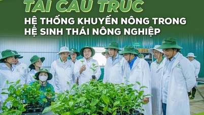 Restructuring the agricultural extension system in the agricultural ecosystem