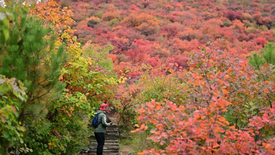 Discover China's autumn through attractive destinations