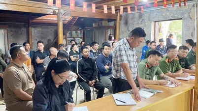 Information reflecting the price of tourism services in Lo Lo Chai village is incorrect.