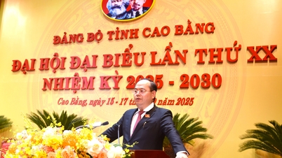代表者たちは会議室で演説し、2025年から2030年までの第20期道党執行委員会の人事計画について議論した。