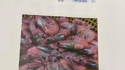 Orang ramai mengecam 'makanan kotor' diseludup masuk ke sebuah sekolah di Lam Dong