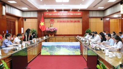 Provincial leaders work with the working delegation of the Committee on Foreign Non-Governmental Organizations