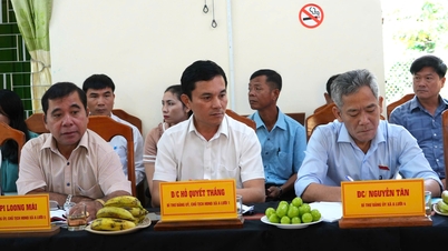 Đảm bảo tổ chức thành công Đại hội Mặt trận Tổ quốc đúng tiến độ, chất lượng, hiệu quả