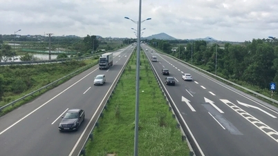 Proposta de não plantar árvores nos canteiros centrais das rodovias