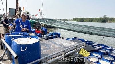 Thôn Quang Thịnh đi lên từ biển