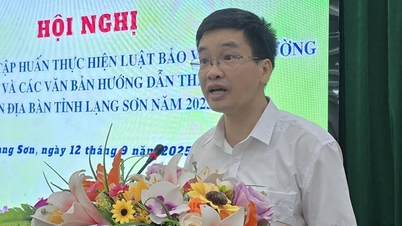 Thúc đẩy thực thi Luật Bảo vệ môi trường