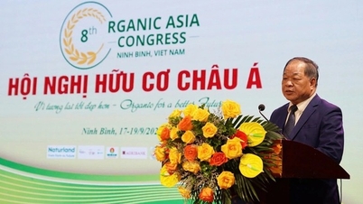 Konferensi Organik Asia ke-8: Sebuah jembatan untuk membawa pertanian organik Vietnam ke dunia