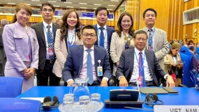 Việt Nam tham dự Khóa họp lần thứ 69 Đại hội đồng Cơ quan năng lượng nguyên tử quốc tế