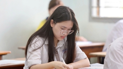 16 trường có sai sót vụ “trượt oan”, hơn 1.000 thí sinh liên quan