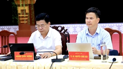 Hội nghị tập huấn các quy định mới về đấu thầu năm 2025
